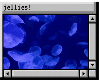 Jellies!